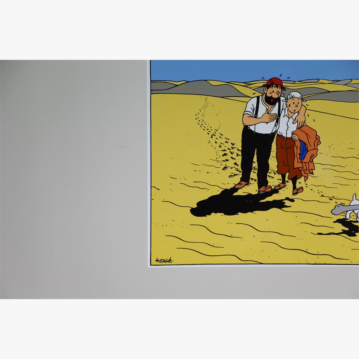 Afbeeldingen van emaille bord kuifje  in de woestijn oplage 70 ex 1991 ''uit de krab met de gulden scharen ''plaque émaillée tintin haddock et milou traversant le pays de la soif  70 ex 1991