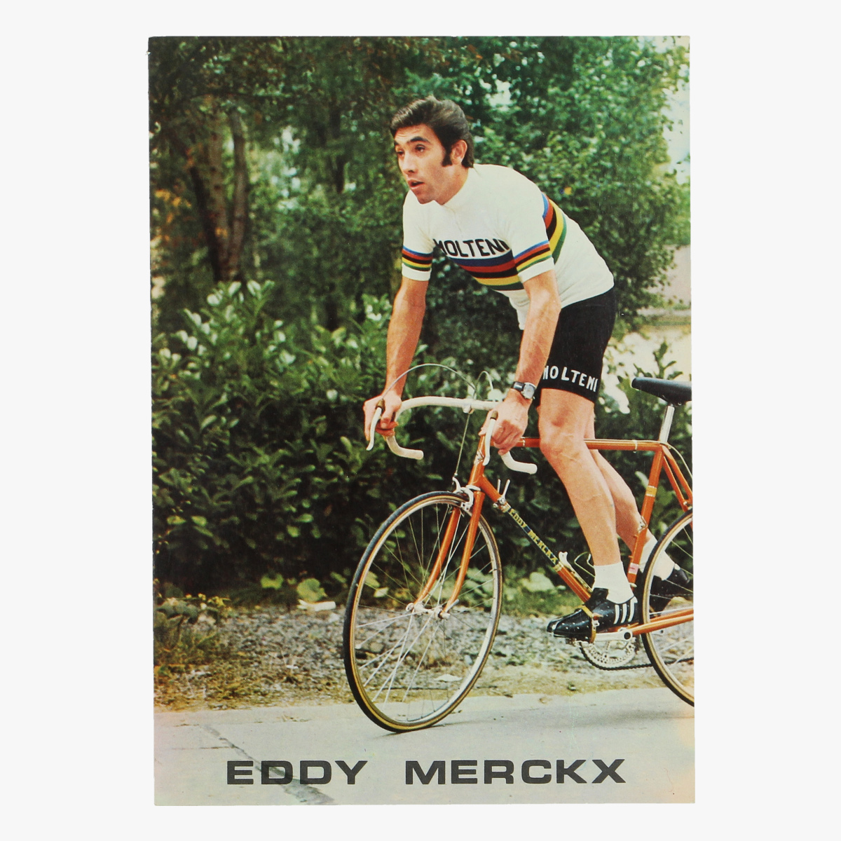 Afbeeldingen van postkaart eddy merckx 
