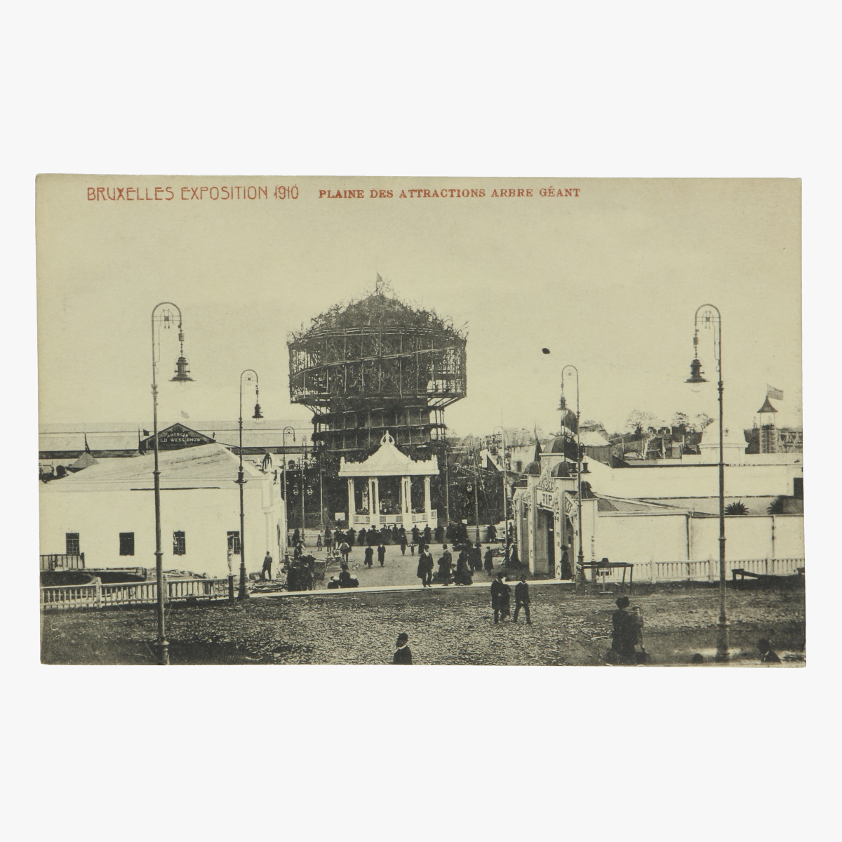 Afbeeldingen van postkaart bruxelles exposition 1910 plaine des attractions arbre géant